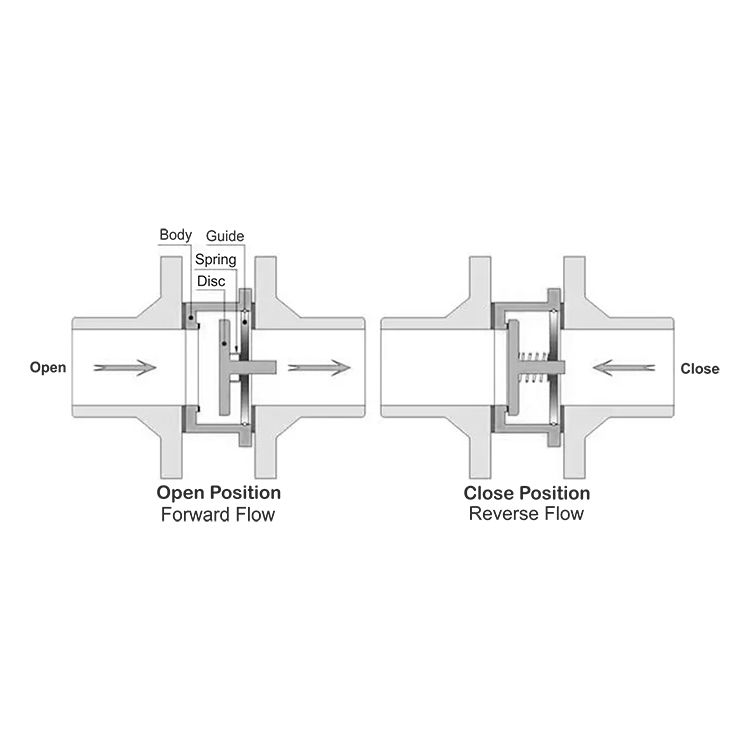 Disc Check Valve